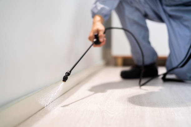 Licensed Cockroach Control service in DeWitt, MI - Nex Pest Control