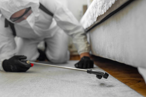 Professional Cockroach Control technician working in DeWitt, MI
