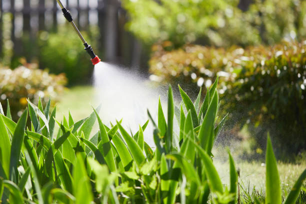 24/7 Emergency Cockroach Control experts in DeWitt, MI