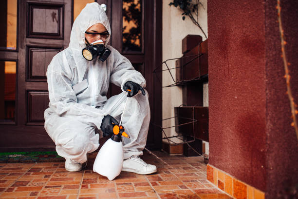 Reliable Cockroach Control contractor in DeWitt, MI by Nex Pest Control
